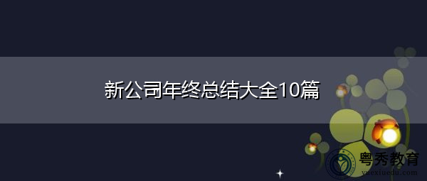 新公司年终总结大全10篇