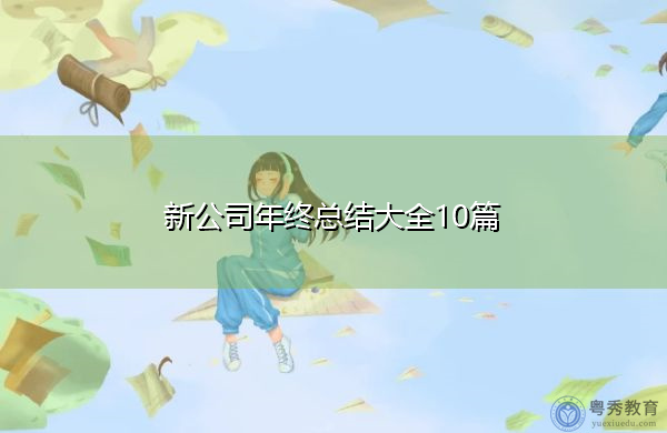 新公司年终总结大全10篇