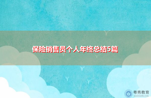 保险销售员个人年终总结5篇