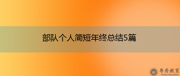 部队个人简短年终总结5篇