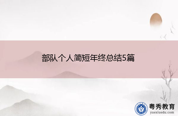 部队个人简短年终总结5篇