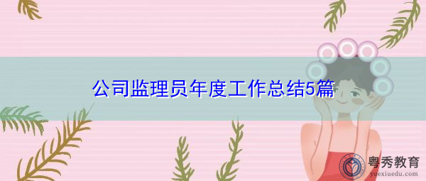 公司监理员年度工作总结5篇