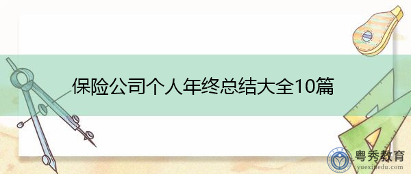 保险公司个人年终总结大全10篇 保险公司个人年终总结大全10篇