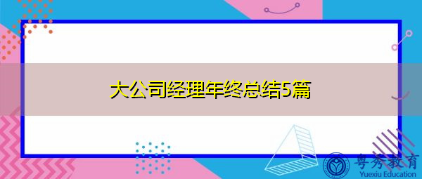 大公司经理年终总结5篇