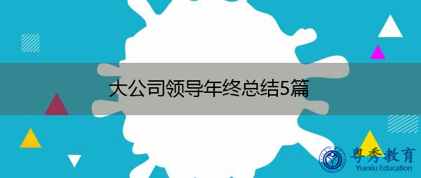 大公司领导年终总结5篇 大公司领导年终总结5篇