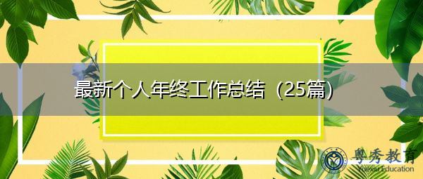 最新个人年终工作总结（25篇）