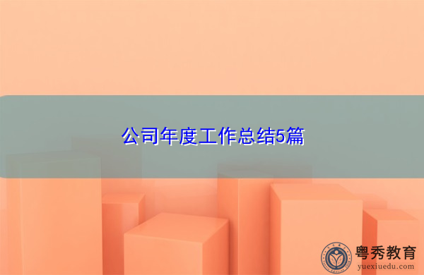 公司年度工作总结5篇