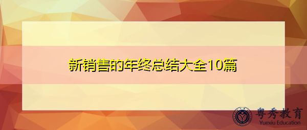新销售的年终总结大全10篇 新销售的年终总结大全10篇