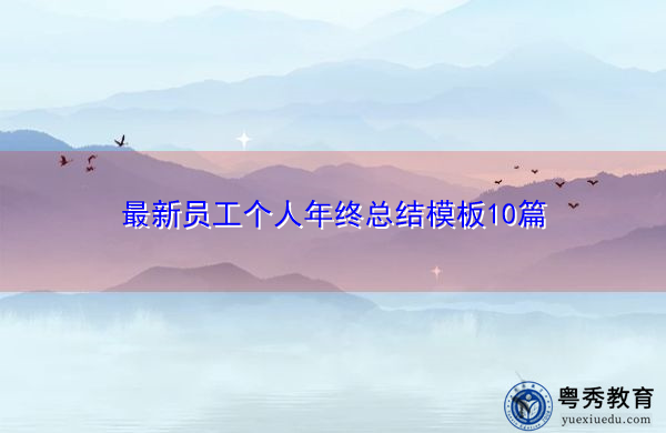 最新员工个人年终总结模板10篇
