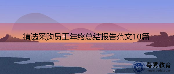 精选采购员工年终总结报告范文10篇