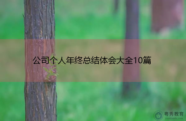 公司个人年终总结体会大全10篇 公司个人年终总结体会大全10篇