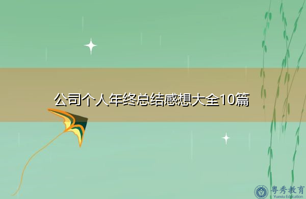 公司个人年终总结感想大全10篇 公司个人年终总结感想大全10篇