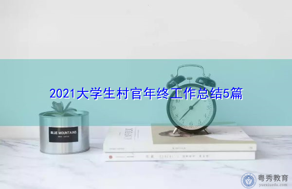 2021大学生村官年终工作总结5篇