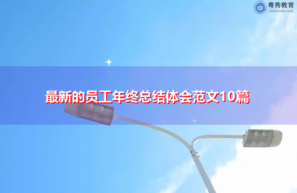 最新的员工年终总结体会范文10篇 最新的员工年终总结体会范文10篇