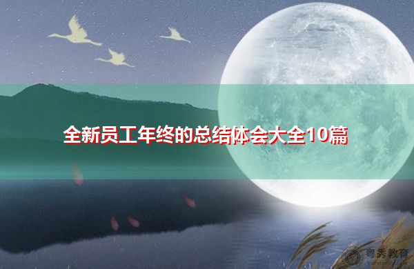 全新员工年终的总结体会大全10篇 全新员工年终的总结体会大全10篇