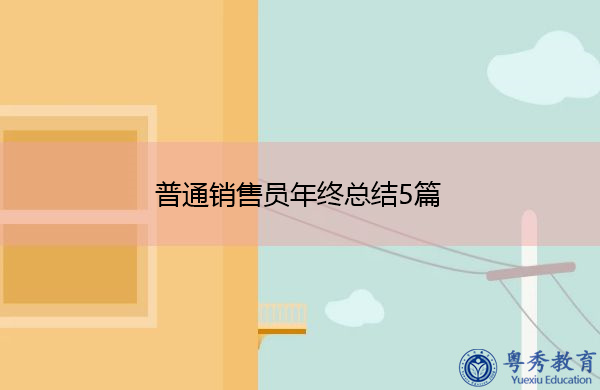 普通销售员年终总结5篇