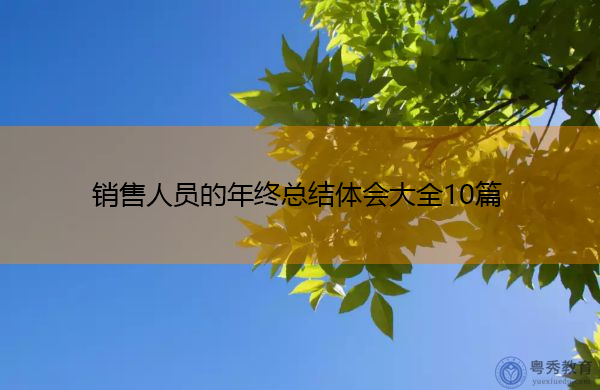 销售人员的年终总结体会大全10篇 销售人员的年终总结体会大全10篇