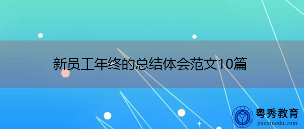 新员工年终的总结体会范文10篇