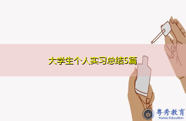 大学生个人实习总结5篇
