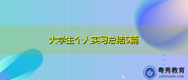 大学生个人实习总结5篇