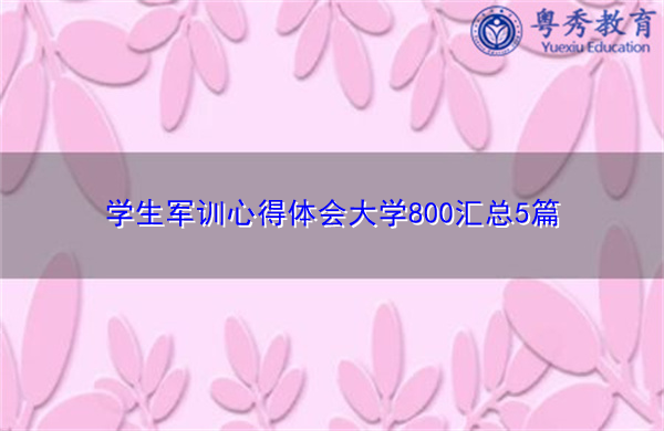 学生军训心得体会大学800汇总5篇 学生军训心得体会大学800汇总5篇