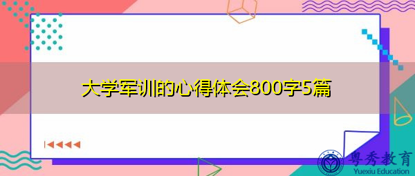 大学军训的心得体会800字5篇