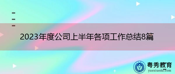 2023年度公司上半年各项工作总结8篇