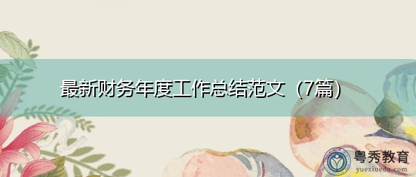 最新财务年度工作总结范文（7篇）