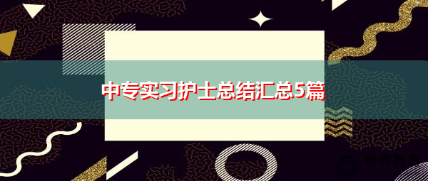 中专实习护士总结汇总5篇 中专实习护士总结汇总5篇
