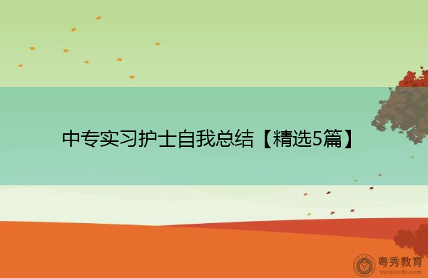 中专实习护士自我总结【精选5篇】