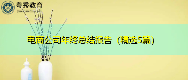 电商公司年终总结报告（精选5篇）