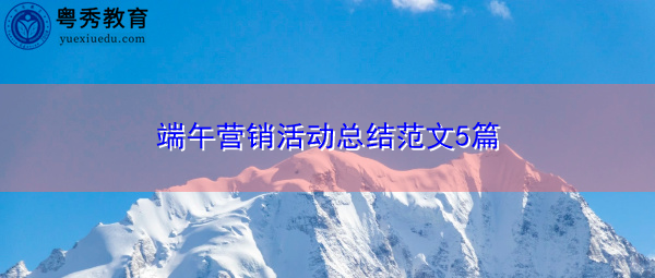 端午营销活动总结范文5篇 端午营销活动总结范文5篇