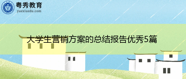 大学生营销方案的总结报告优秀5篇