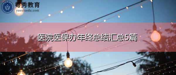 医院医保办年终总结汇总5篇 医院医保办年终总结汇总5篇