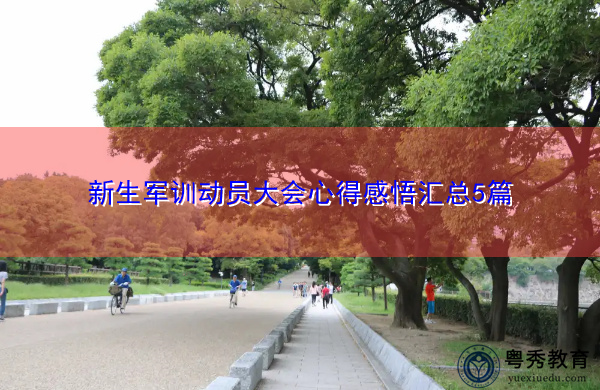 新生军训动员大会心得感悟汇总5篇 新生军训动员大会心得感悟汇总5篇