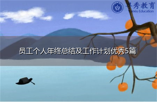 员工个人年终总结及工作计划优秀5篇