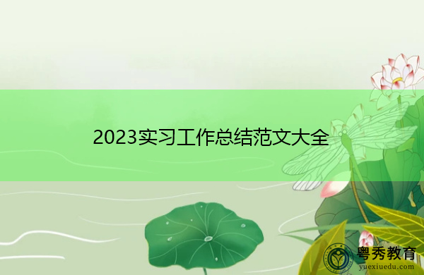 2023实习工作总结范文大全 2023实习工作总结范文大全