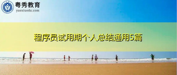 程序员试用期个人总结通用5篇 程序员试用期个人总结通用5篇