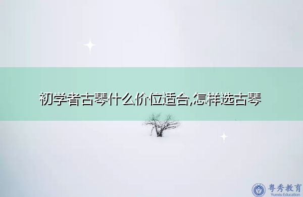 初学者古琴什么价位适合,怎样选古琴