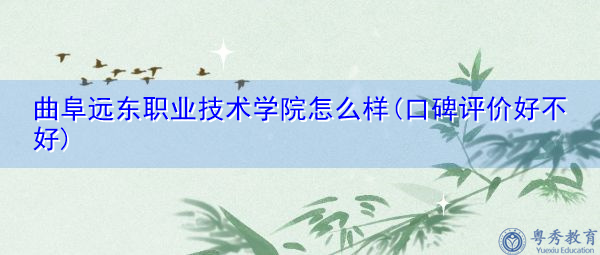 曲阜远东职业技术学院怎么样(口碑评价好不好)