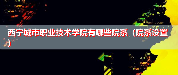 西宁城市职业技术学院有哪些院系（院系设置）