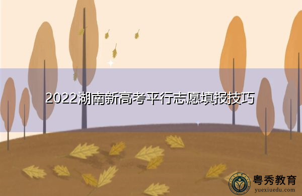 2022湖南新高考平行志愿填报技巧 2022湖南新高考平行志愿填报技巧