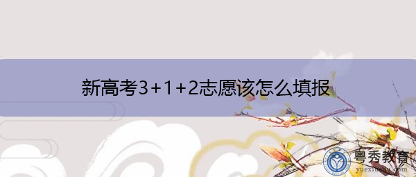 新高考3+1+2志愿该怎么填报