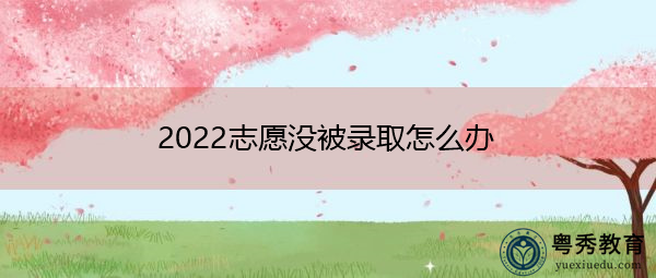 2022志愿没被录取怎么办
