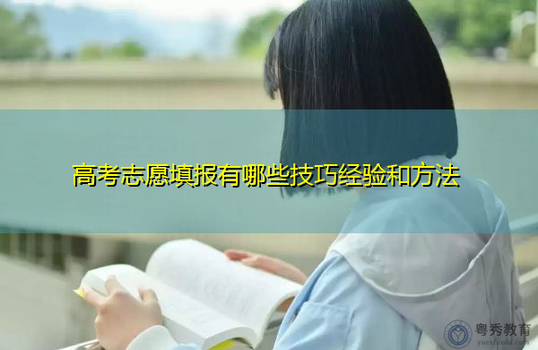 高考志愿填报有哪些技巧经验和方法