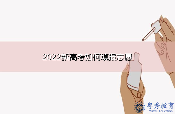 2022新高考如何填报志愿