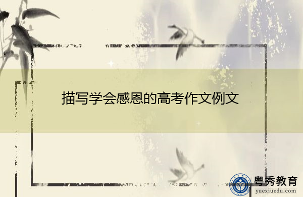 描写学会感恩的高考作文例文 描写学会感恩的高考作文例文