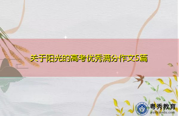 关于阳光的高考优秀满分作文5篇