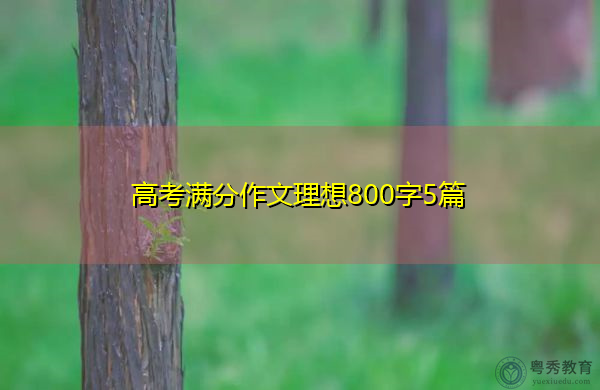 高考满分作文理想800字5篇