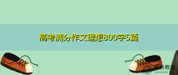 高考满分作文理想800字5篇